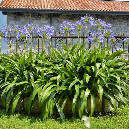 Appartamento Casa Giardino fiorito San Siro  Esterno foto