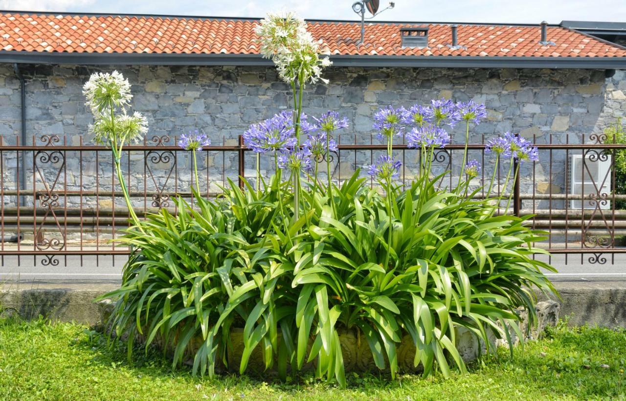 Appartamento Casa Giardino fiorito San Siro  Esterno foto