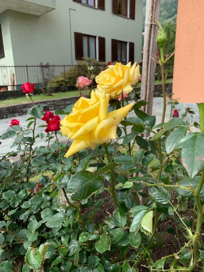 Appartamento Casa Giardino fiorito San Siro  Esterno foto